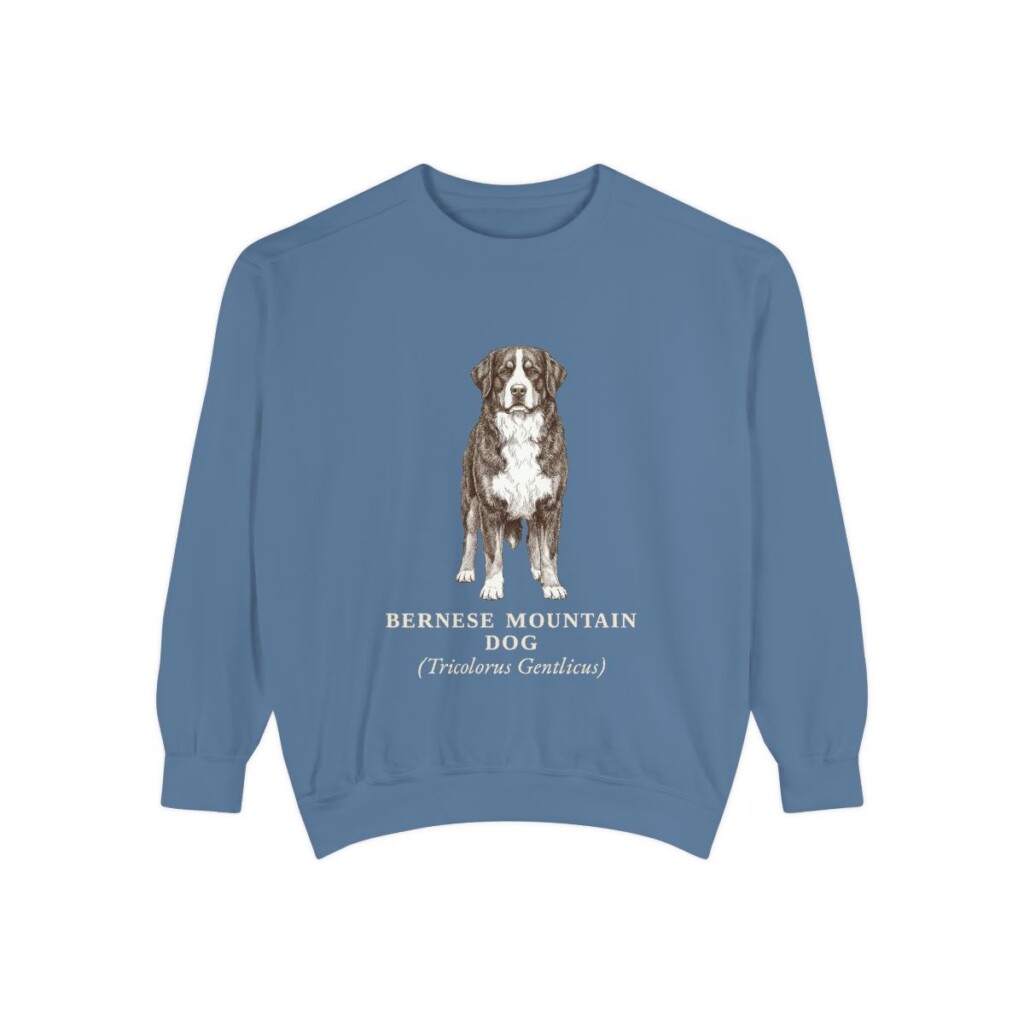 Bernese Mountain Dog Latin Sweatshirt, Blue Jean, front view