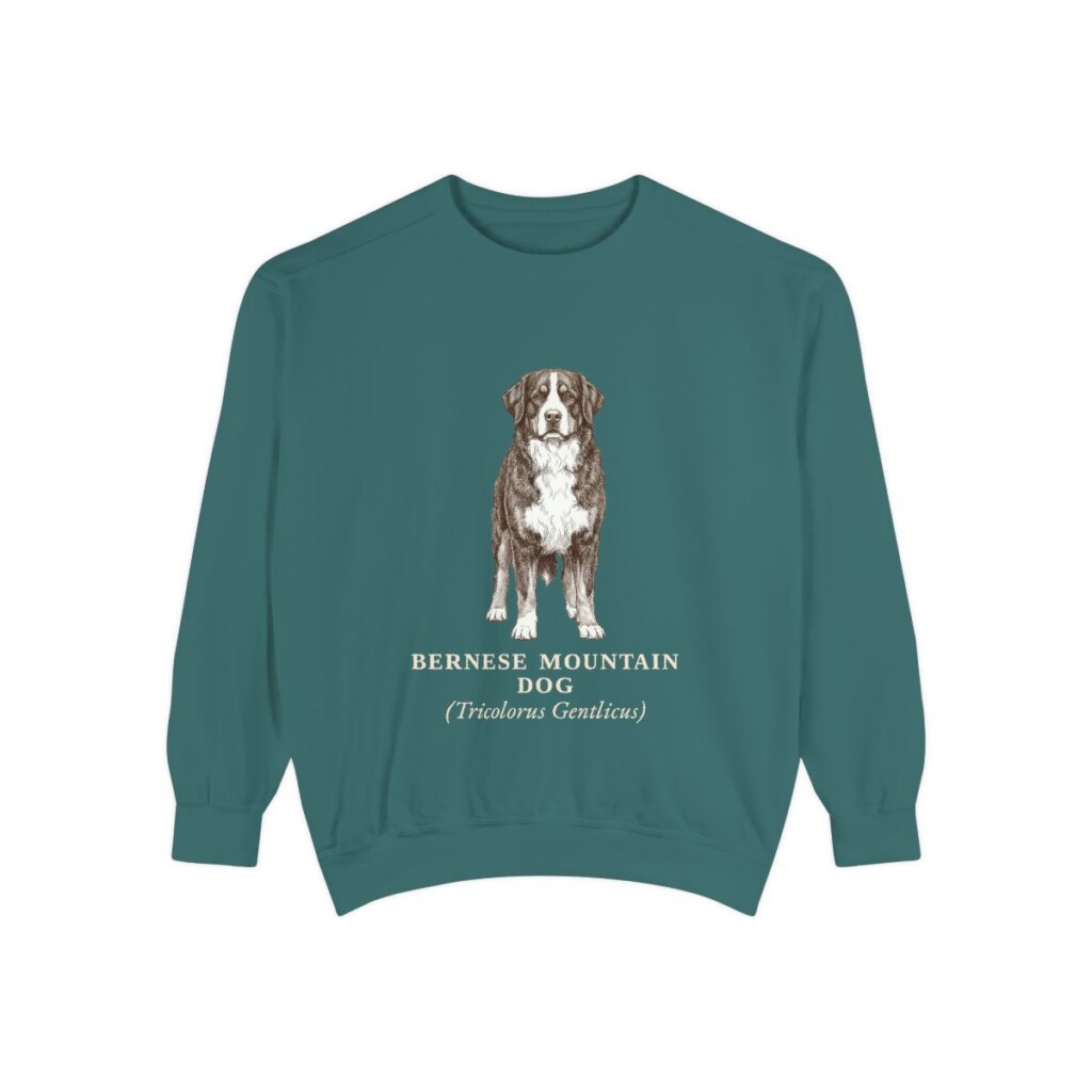 Bernese Mountain Dog Latin Sweatshirt, Blue Spruce, front view