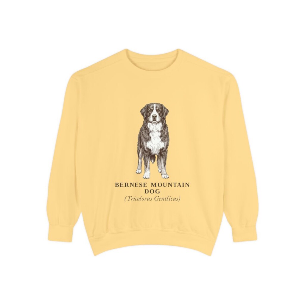 Bernese Mountain Dog Latin Sweatshirt, Butter, front view