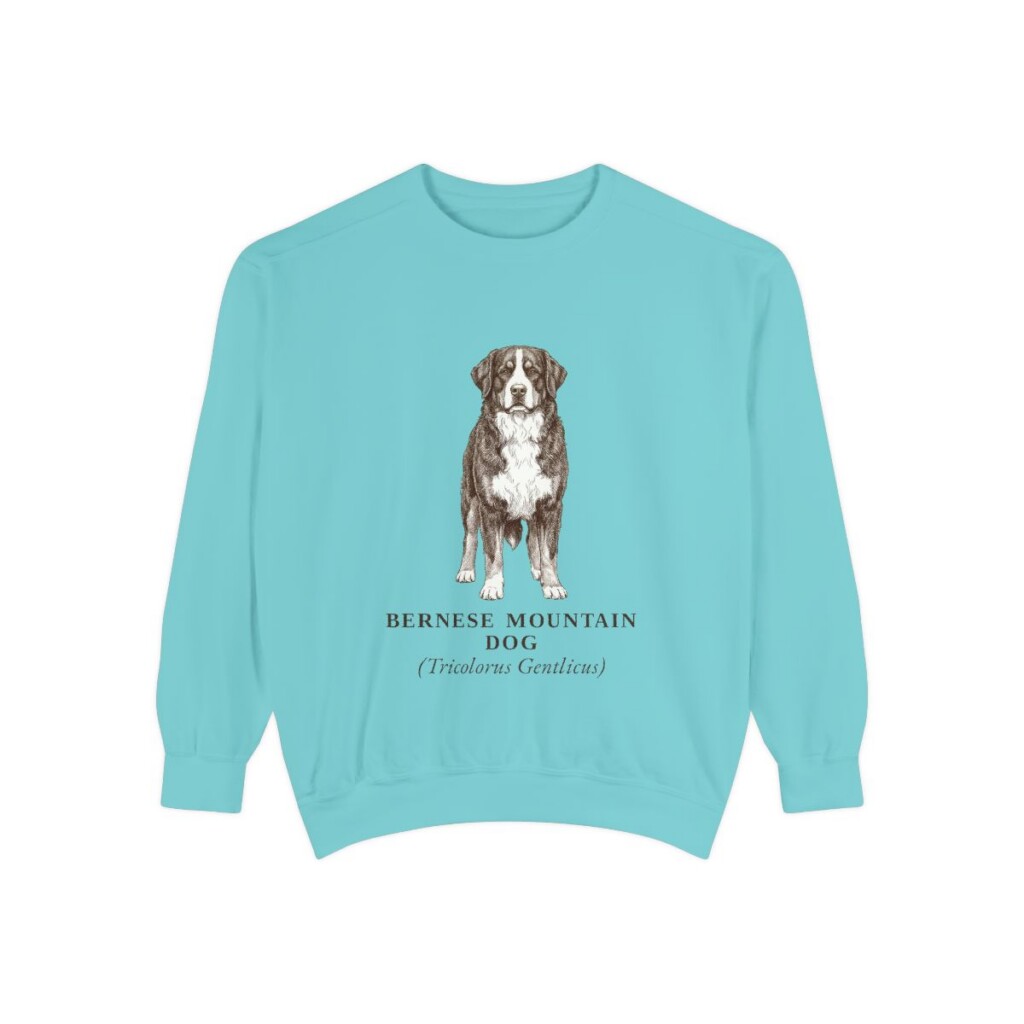 Bernese Mountain Dog Latin Sweatshirt, Chalky Mint, front view