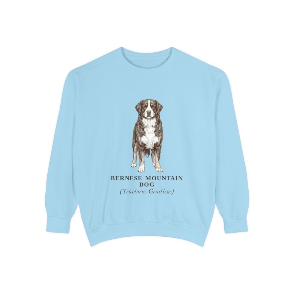 Bernese Mountain Dog Latin Sweatshirt, Chambray, front view
