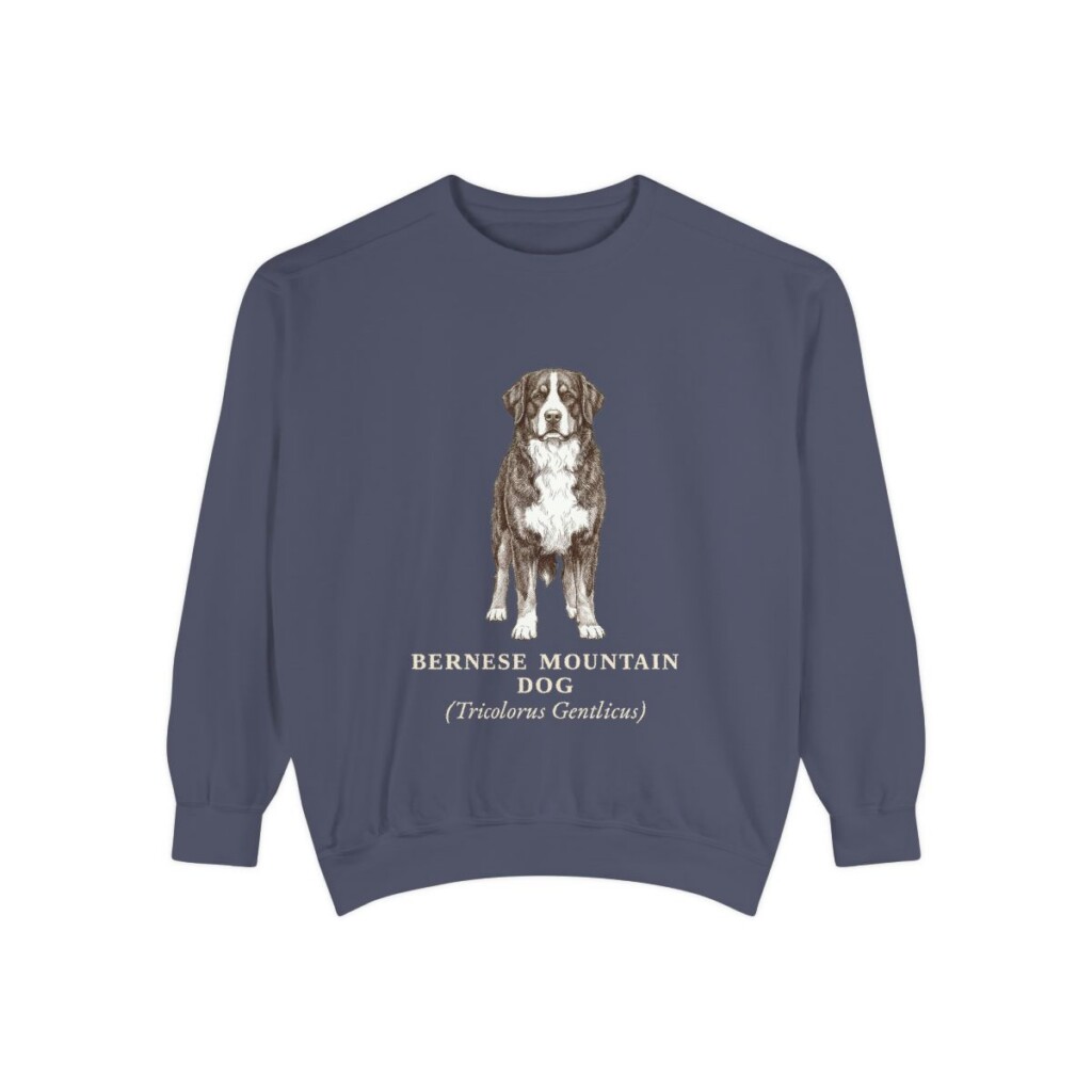 Bernese Mountain Dog Latin Sweatshirt, Denim, front view