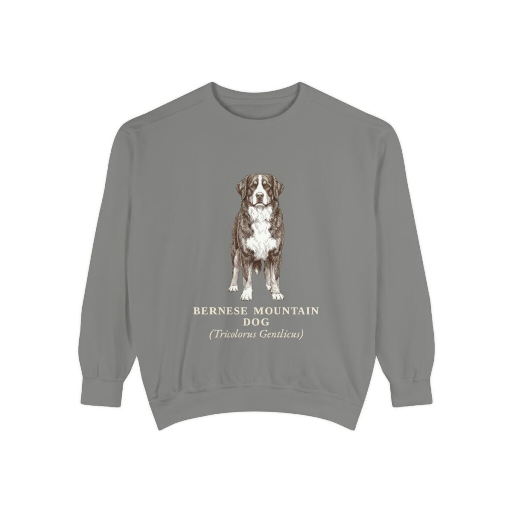 Bernese Mountain Dog Latin Sweatshirt, Grey, front view