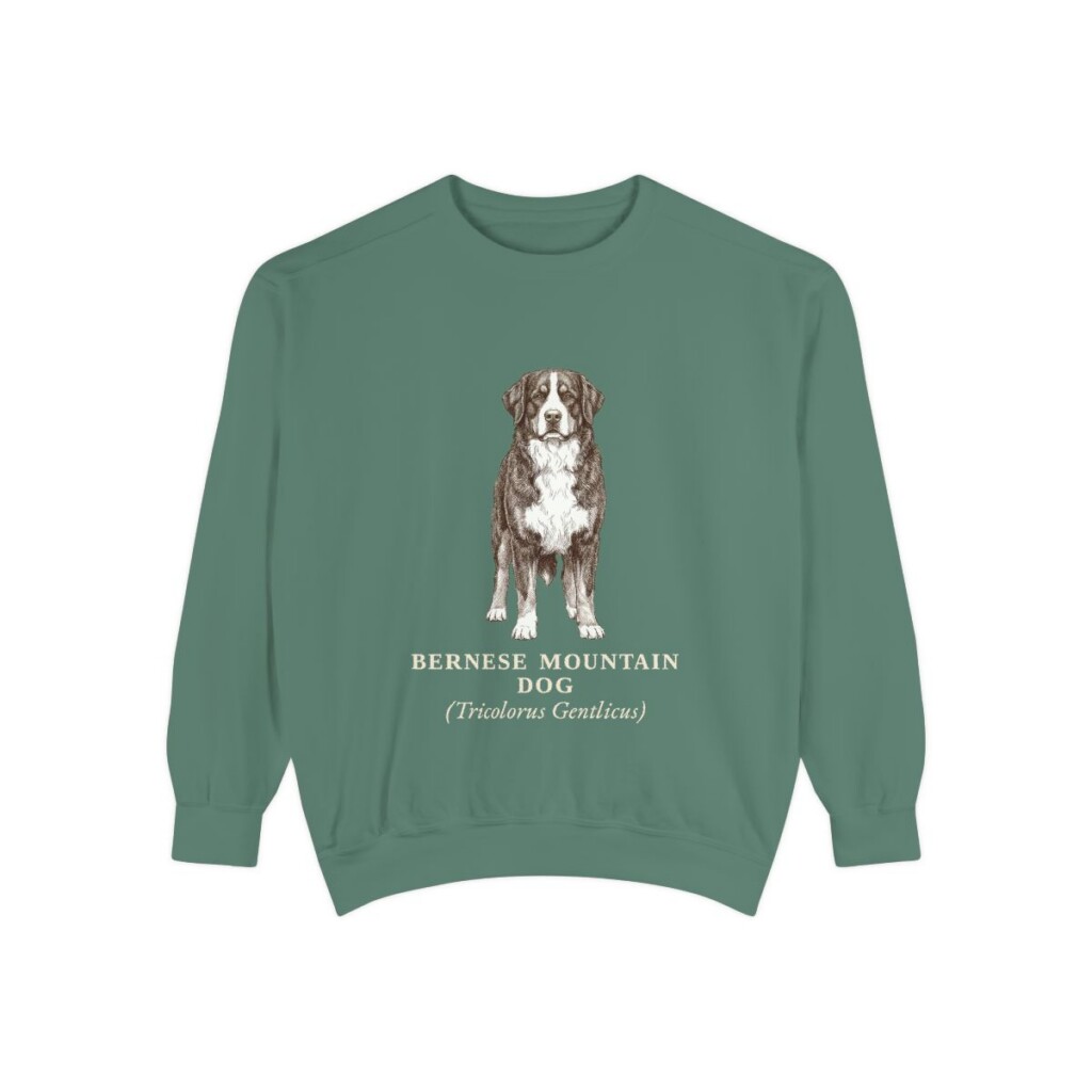 Bernese Mountain Dog Latin Sweatshirt, Light Green, front view