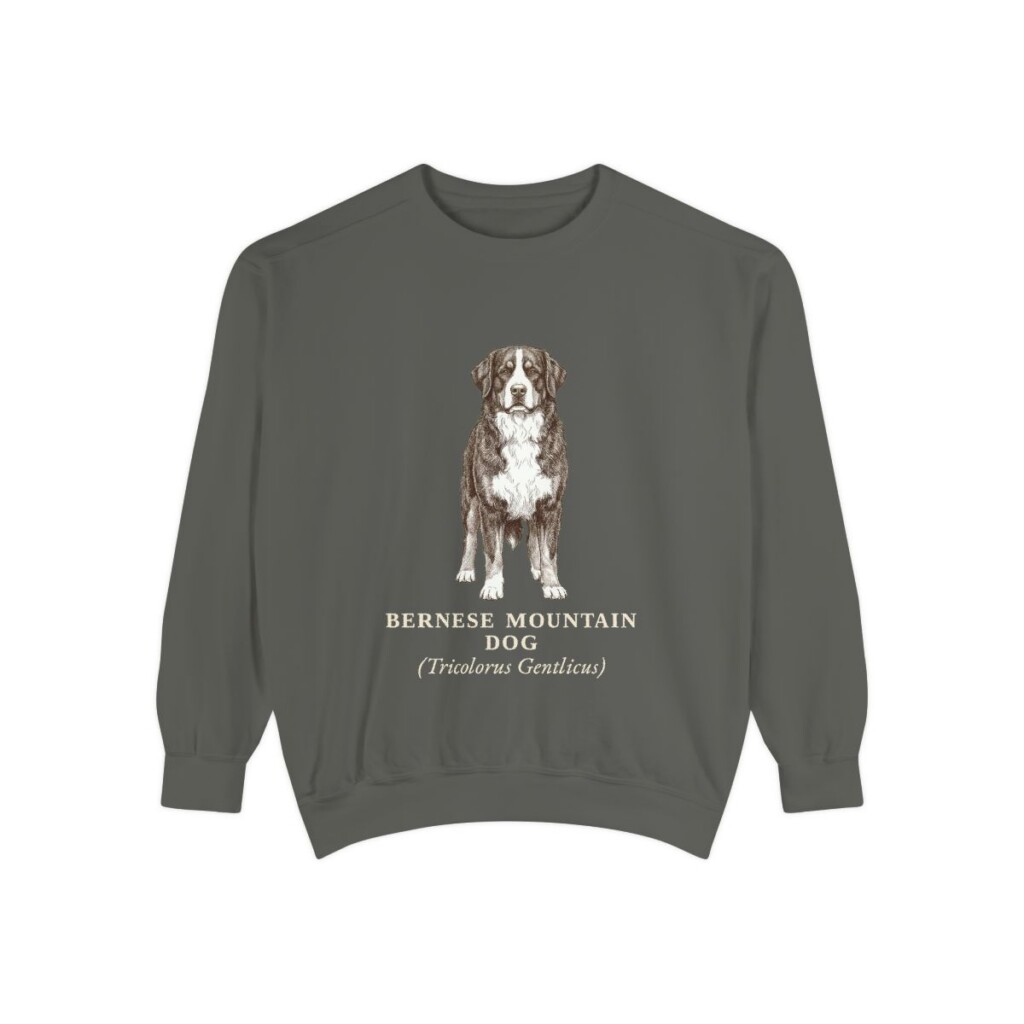 Bernese Mountain Dog Latin Sweatshirt, Pepper, front view