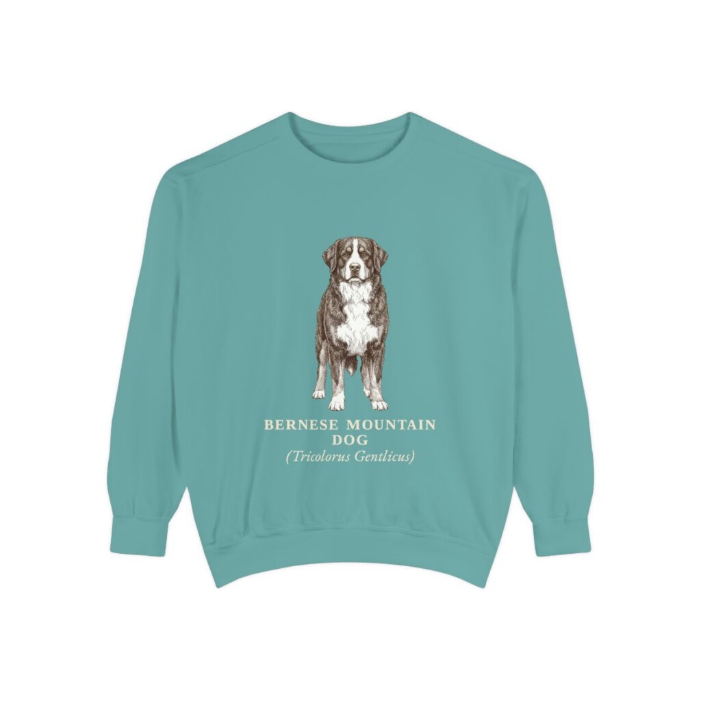 Bernese Mountain Dog Latin Sweatshirt, Seafoam, front view