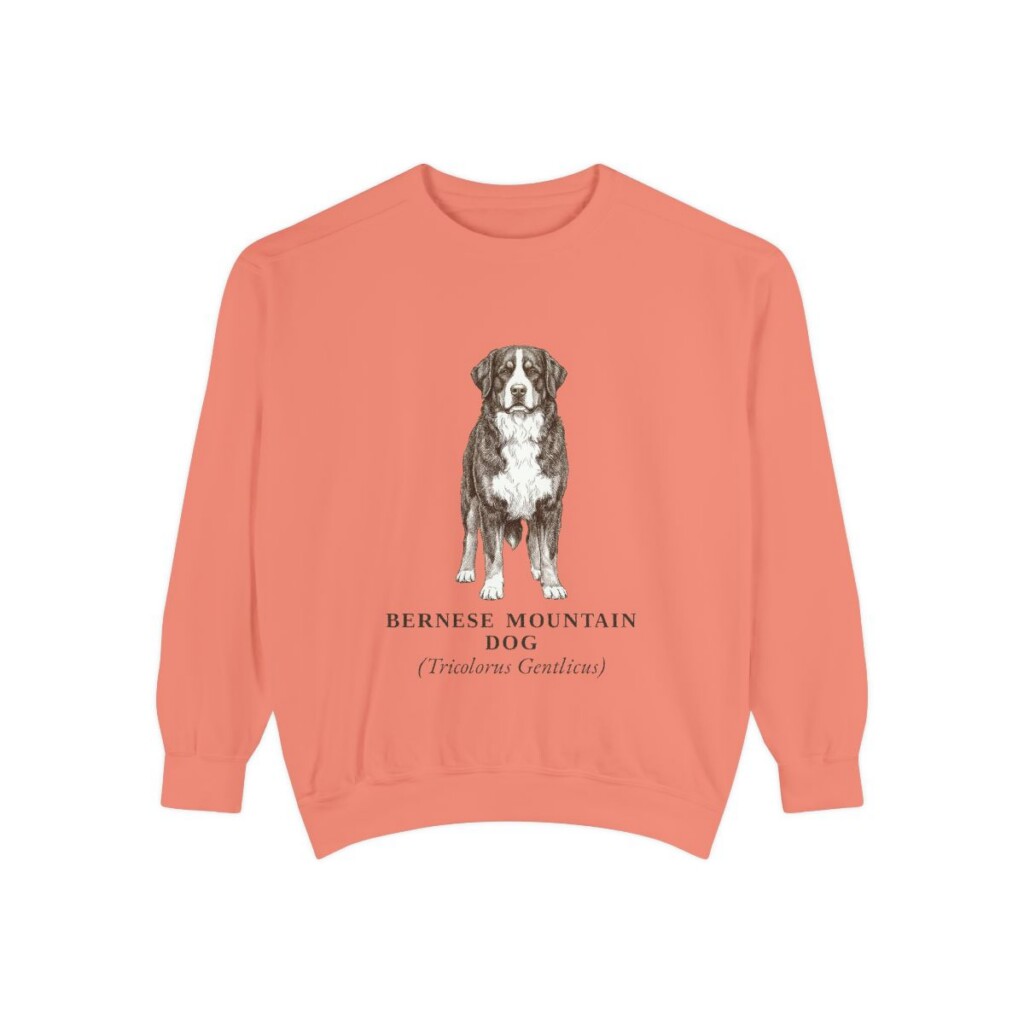 Bernese Mountain Dog Latin Sweatshirt, Terracotta, front view