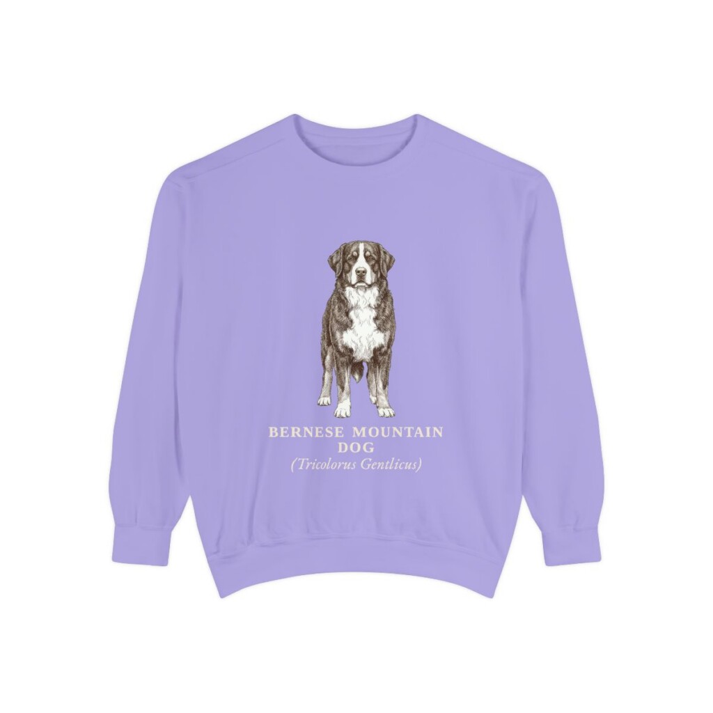 Bernese Mountain Dog Latin Sweatshirt, Violet, front view