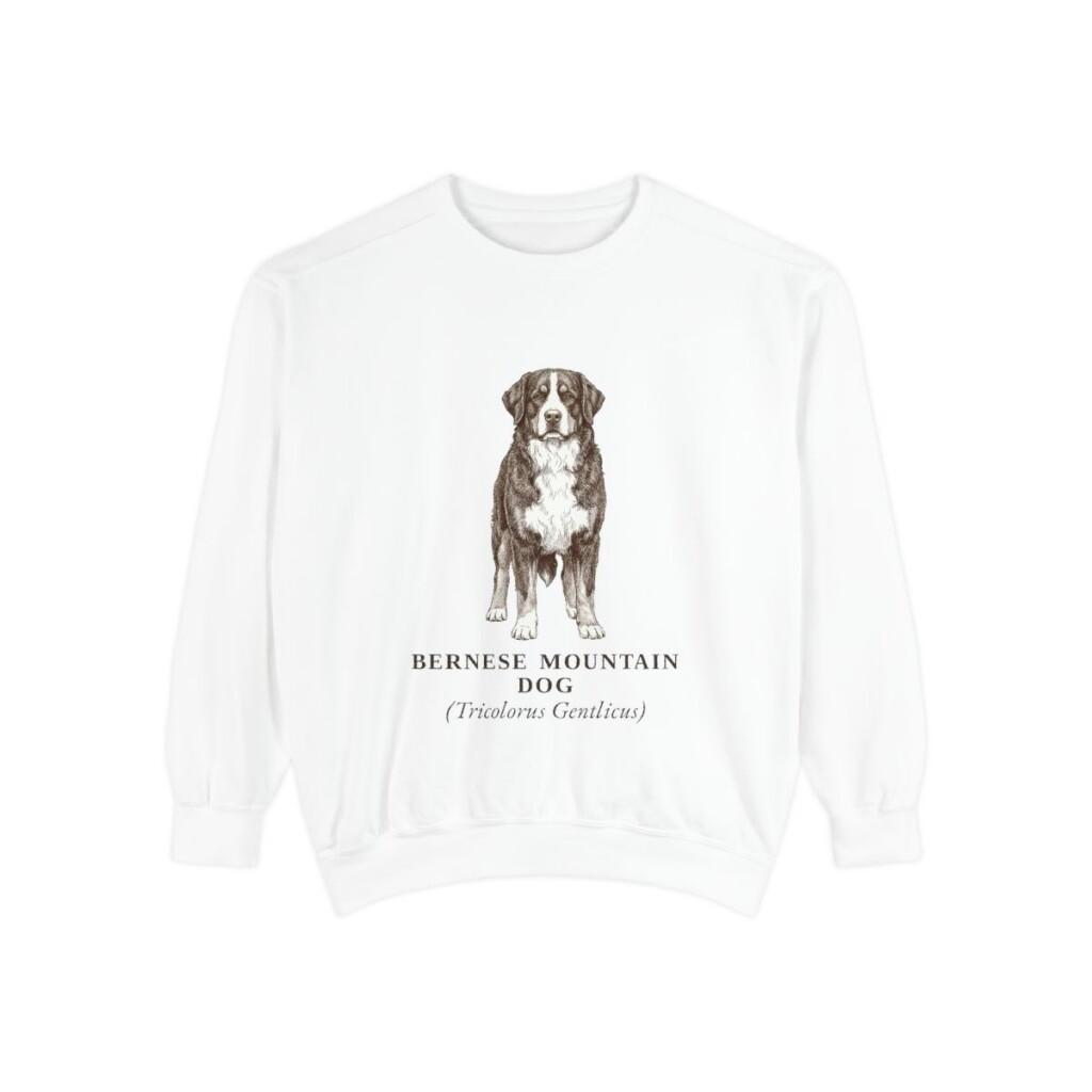 Bernese Mountain Dog Latin Sweatshirt, White, front view