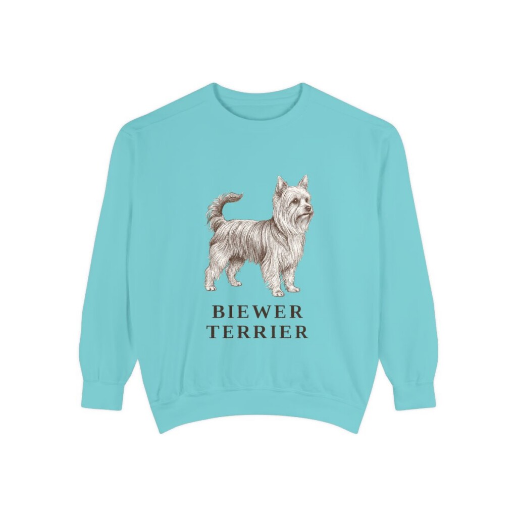 Biewer Terrier Sweatshirt, Chalky Mint, front view