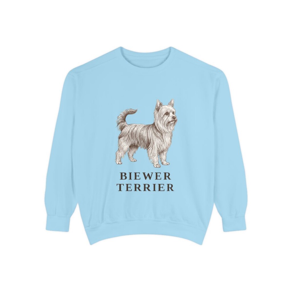 Biewer Terrier Sweatshirt, Chambray, front view