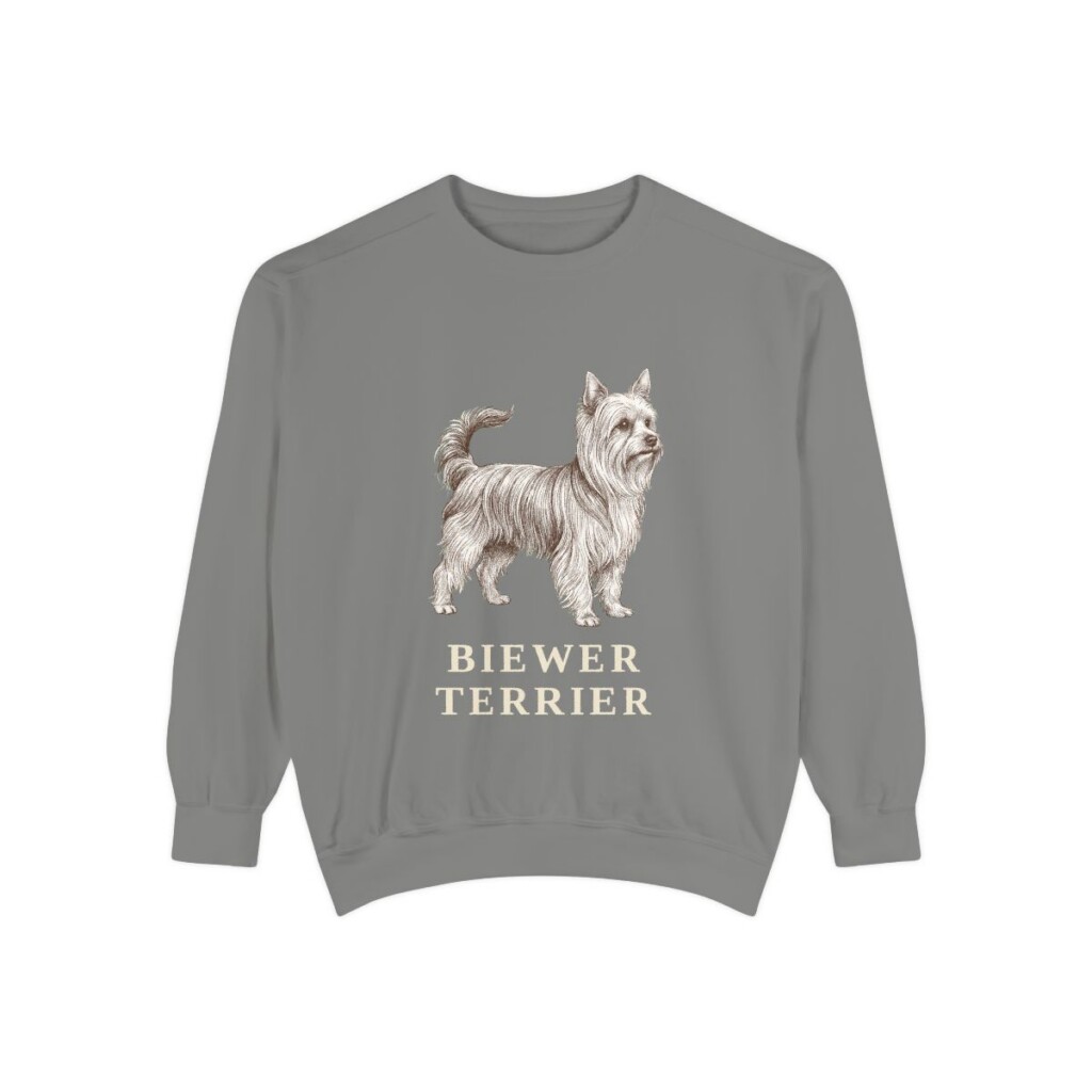 Biewer Terrier Sweatshirt, Grey, front view