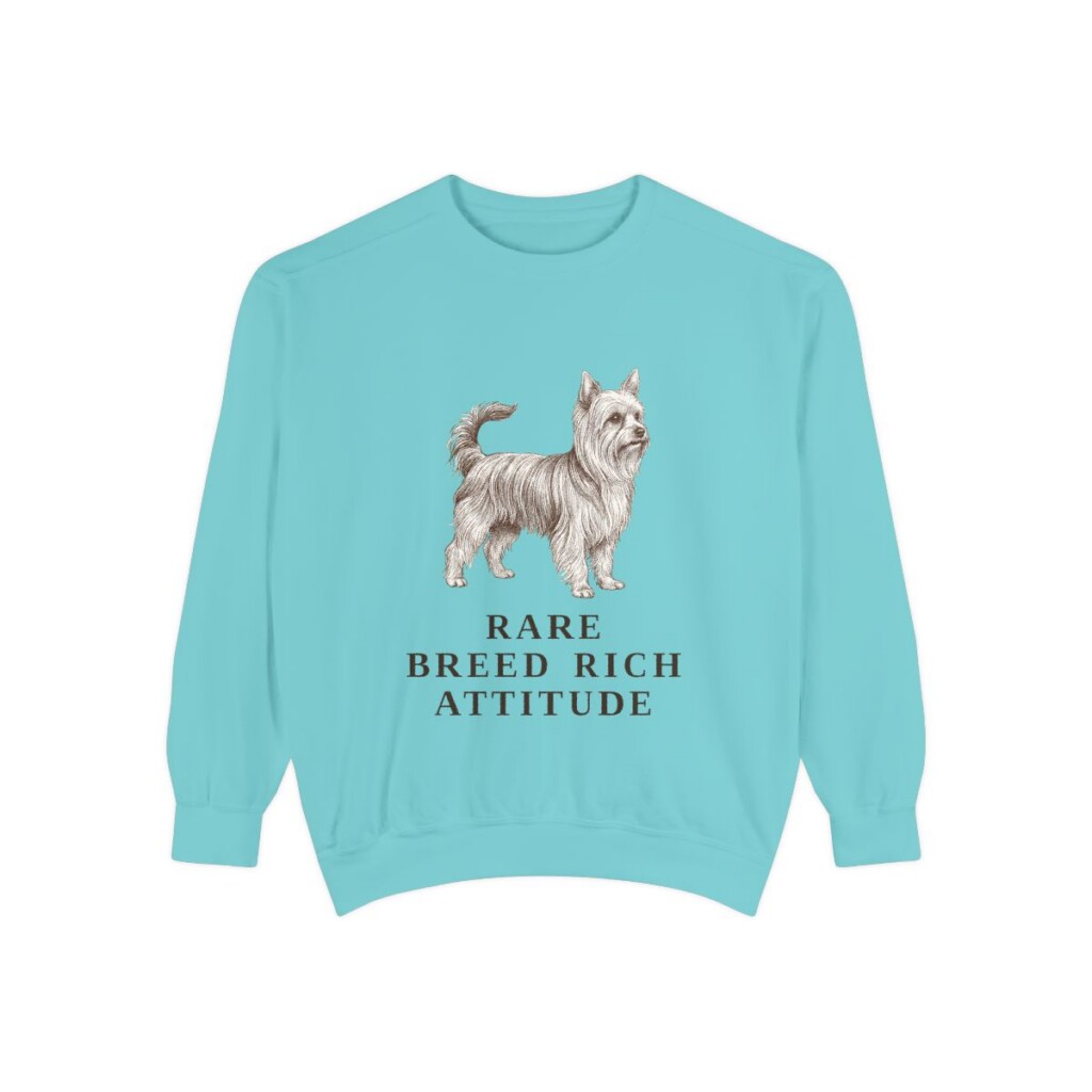 Biewer Terrier Humor Sweatshirt, Chalky Mint, front view