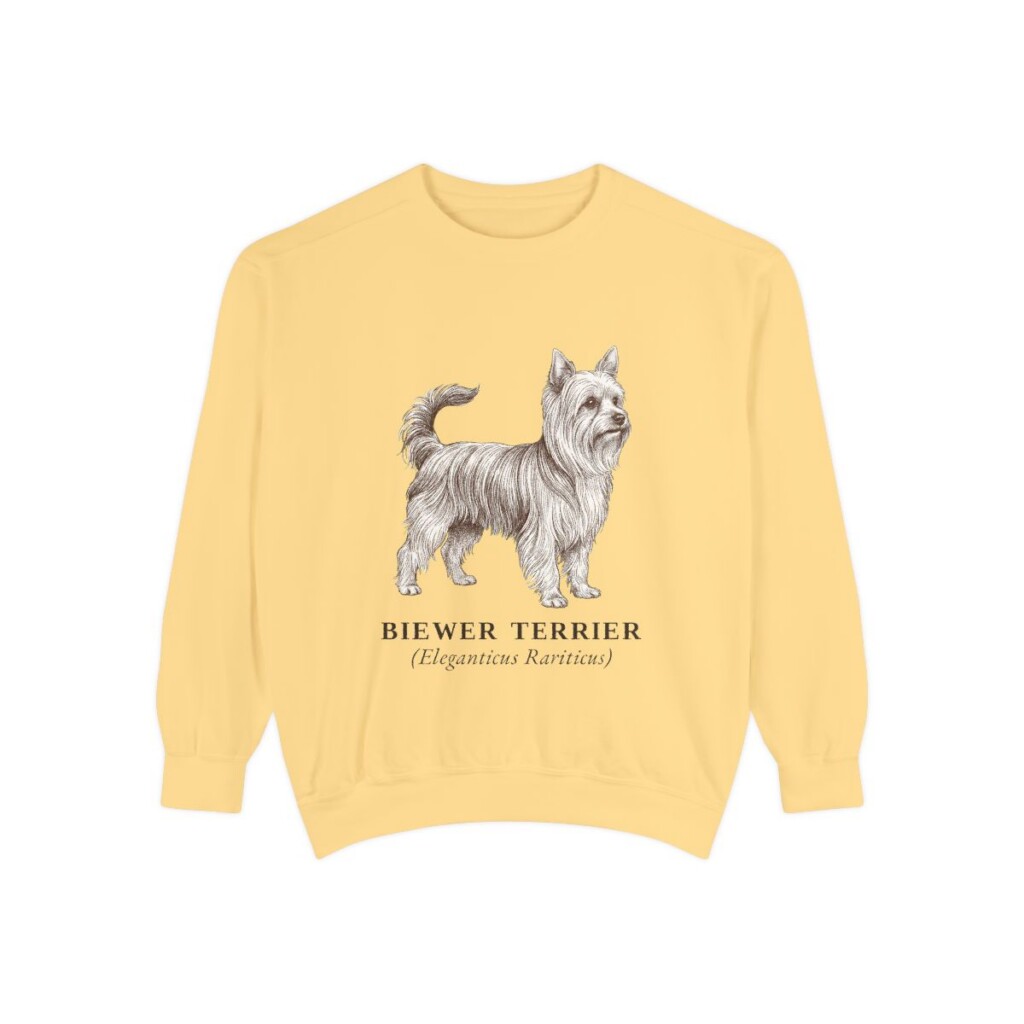 biewer-terrier-sweatshirt-latin-butter Biewer Terrier Latin Sweatshirt, Butter, front view