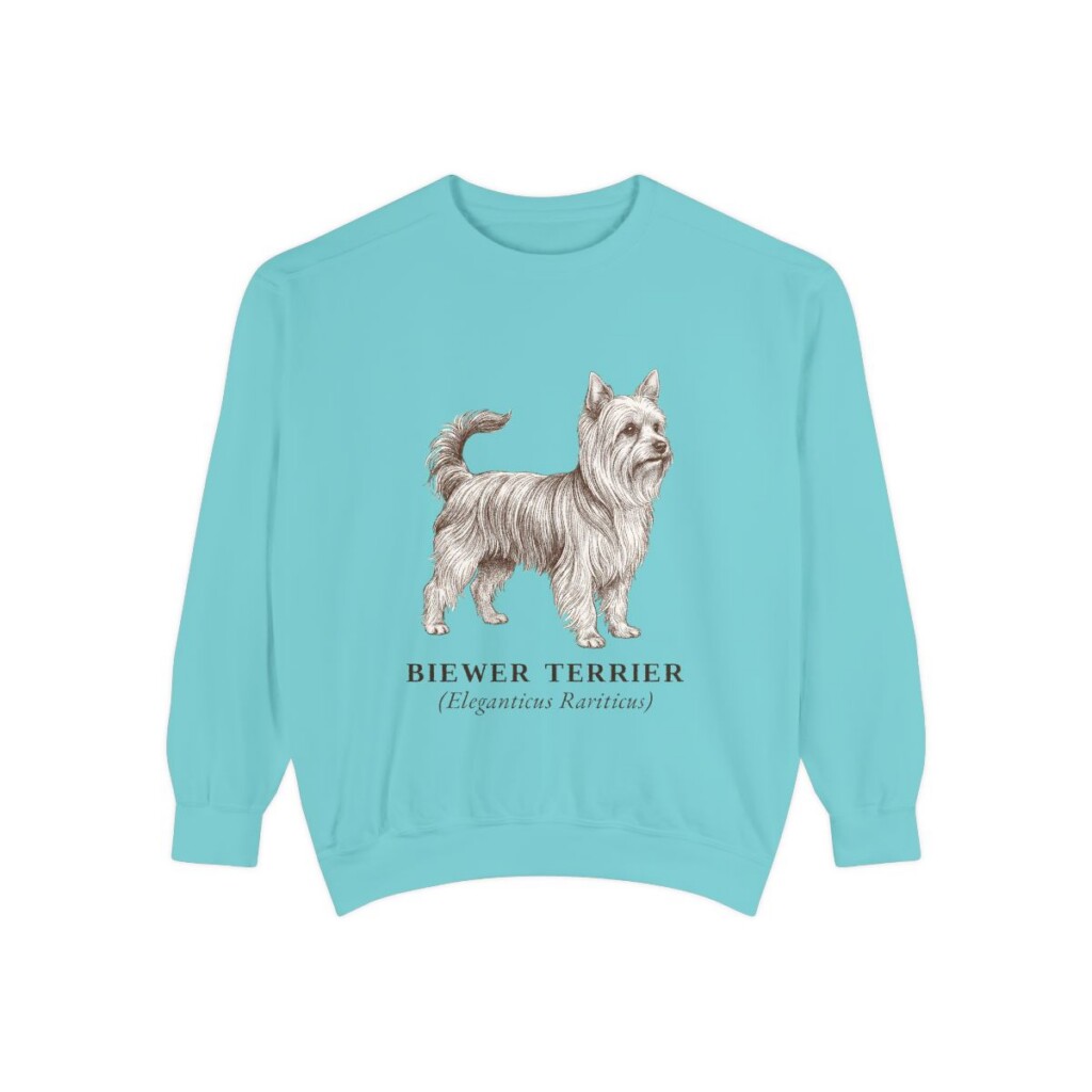 biewer-terrier-sweatshirt-latin-chalky-mint Biewer Terrier Latin Sweatshirt, Chalky Mint, front view