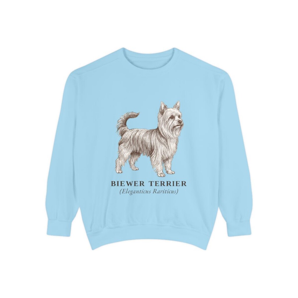 biewer-terrier-sweatshirt-latin-chambray Biewer Terrier Latin Sweatshirt, Chambray, front view