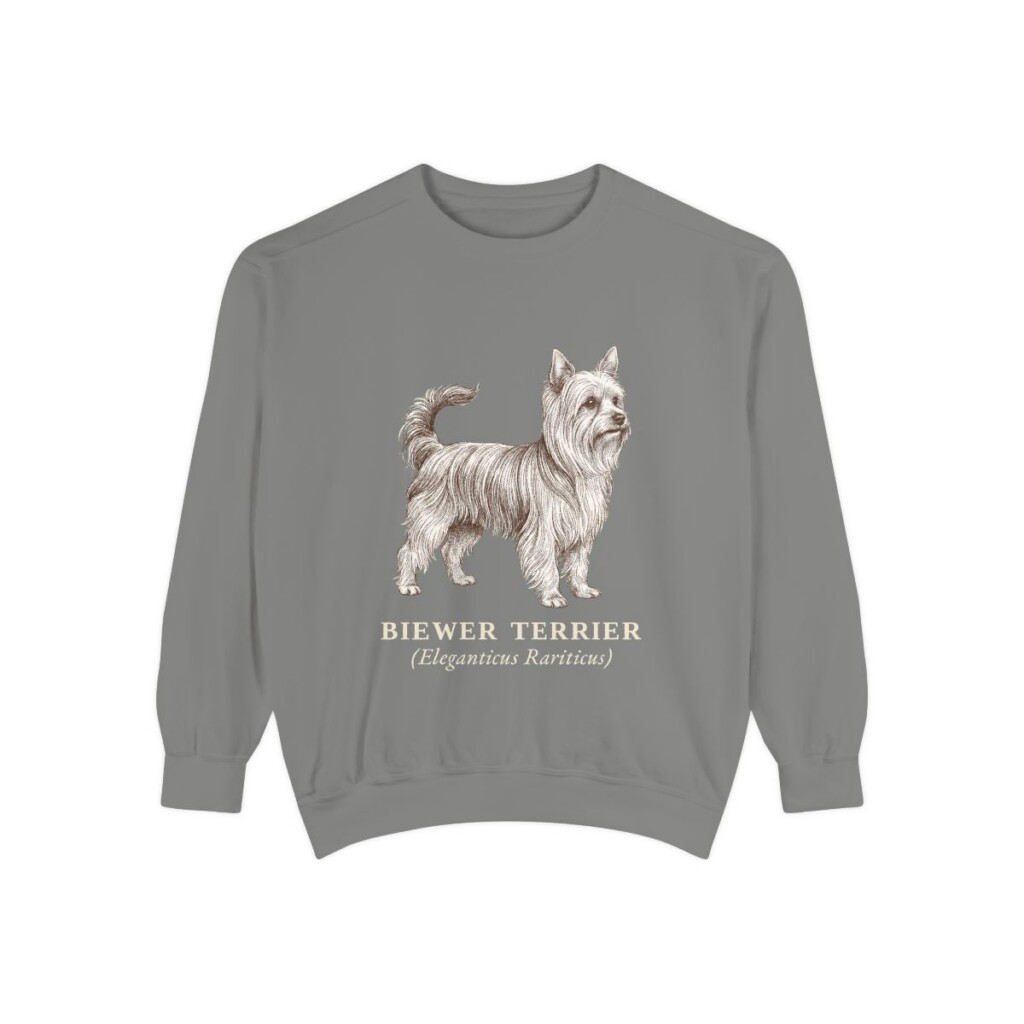 biewer-terrier-sweatshirt-latin-grey Biewer Terrier Latin Sweatshirt, Grey, front view
