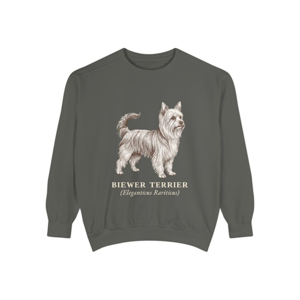 biewer-terrier-sweatshirt-latin-pepper Biewer Terrier Latin Sweatshirt, Pepper, front view