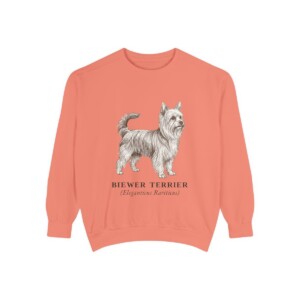 Biewer Terrier Latin Sweatshirt, Terracotta, front view