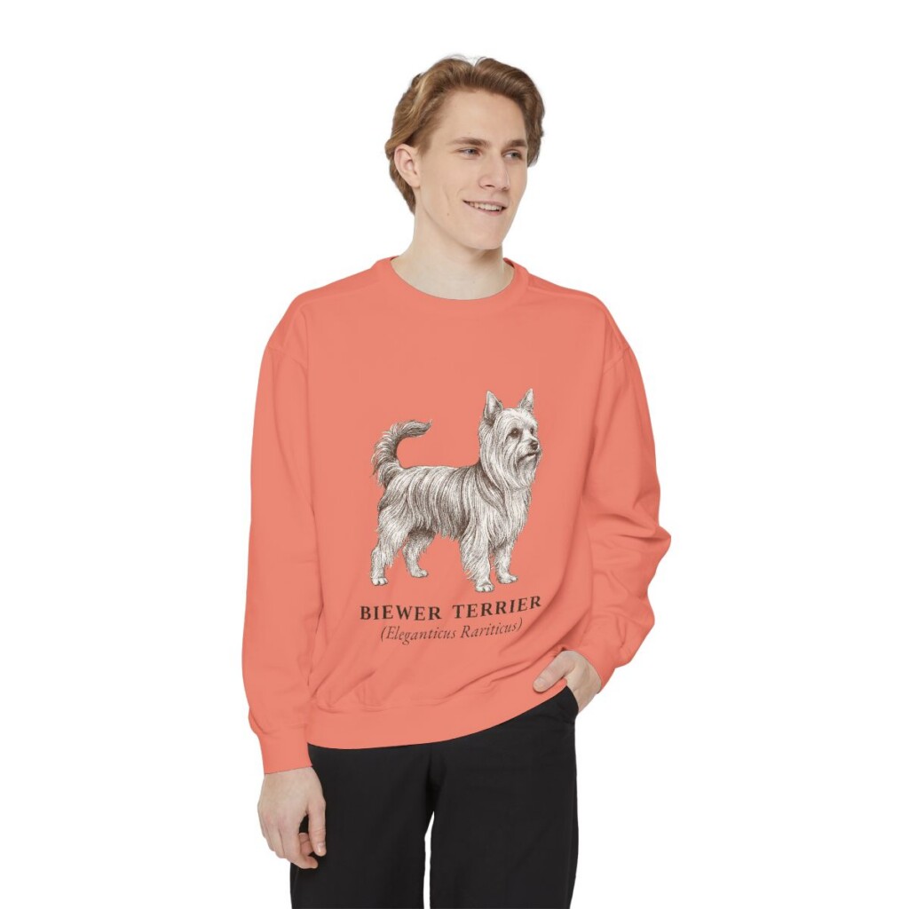 biewer-terrier-sweatshirt-latin-terracotta-person-1-front Biewer Terrier Latin Sweatshirt, Terracotta, person 1 front