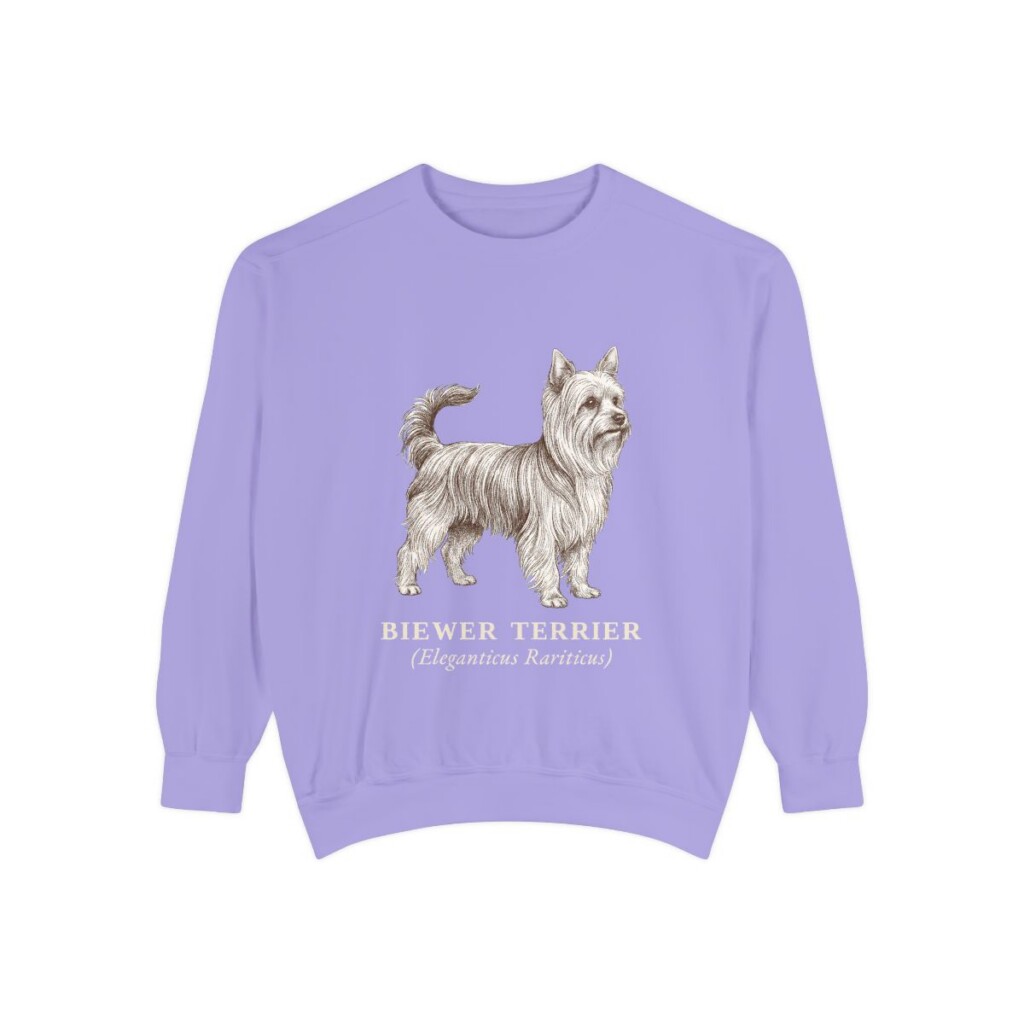 biewer-terrier-sweatshirt-latin-violet Biewer Terrier Latin Sweatshirt, Violet, front view