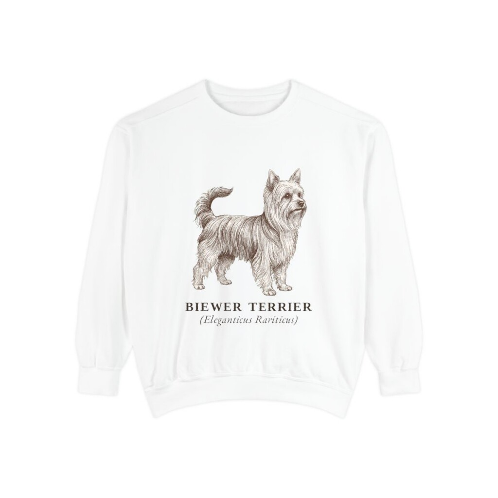 biewer-terrier-sweatshirt-latin-white Biewer Terrier Latin Sweatshirt, White, front view