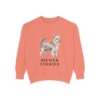 Biewer Terrier Sweatshirt, Terracotta, front view