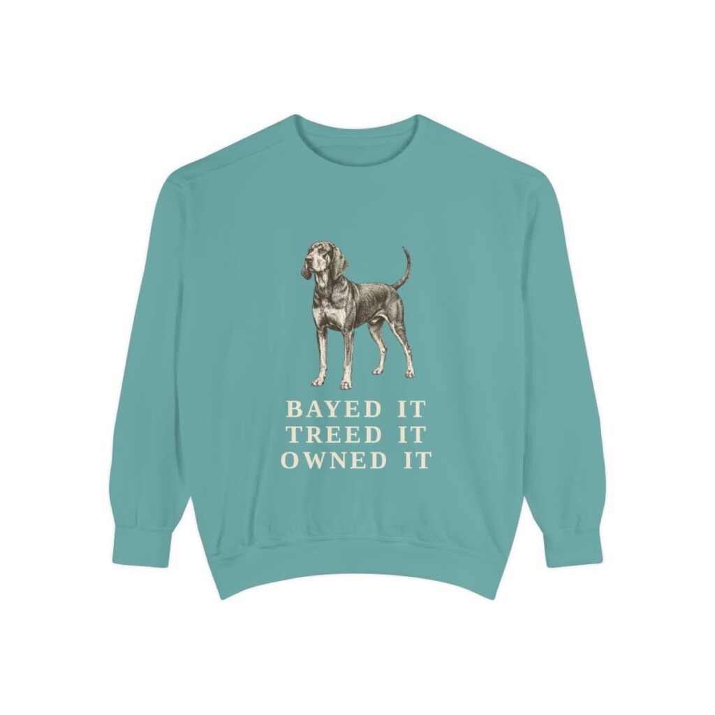 Black and Tan Coonhound Humor Sweatshirt, Seafoam, front view