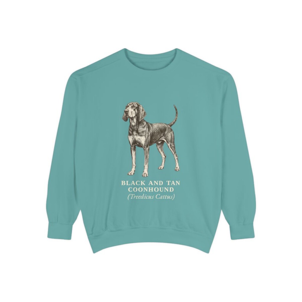 Black and Tan Coonhound Latin Sweatshirt, Seafoam, front view