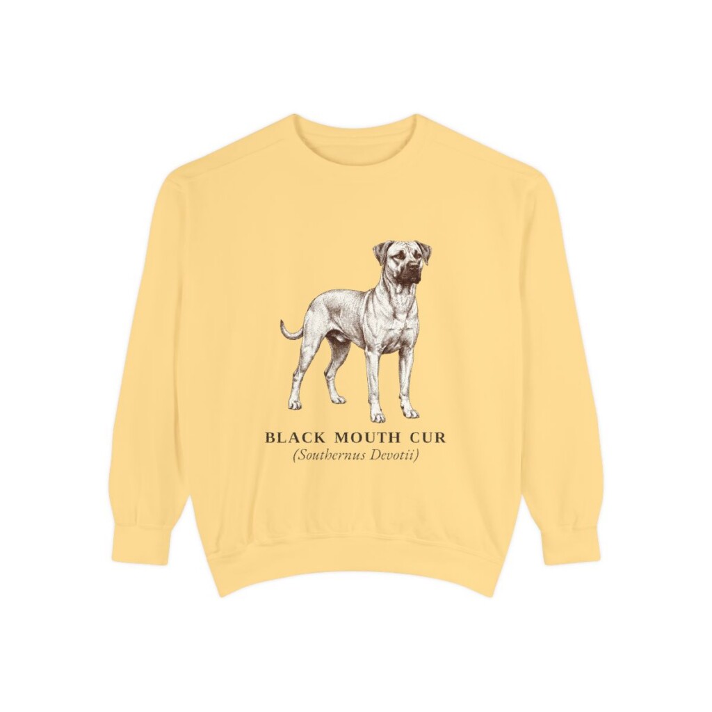 Black Mouth Cur Latin Sweatshirt, Butter, front view