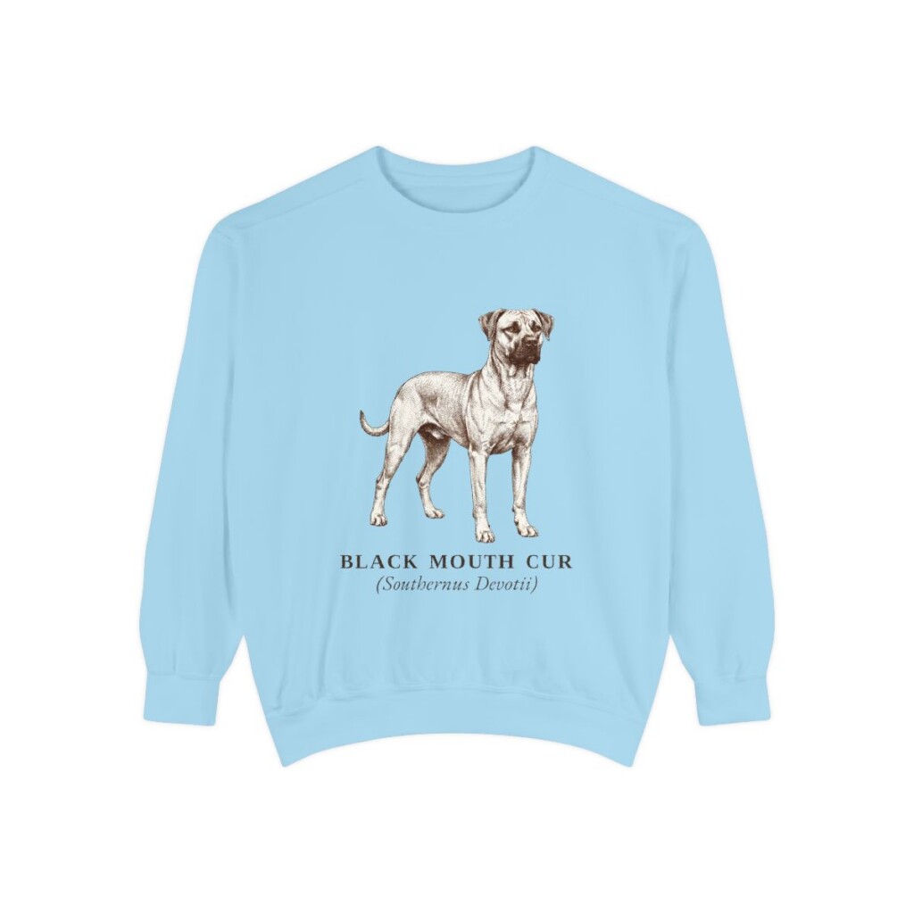 Black Mouth Cur Latin Sweatshirt, Chambray, front view