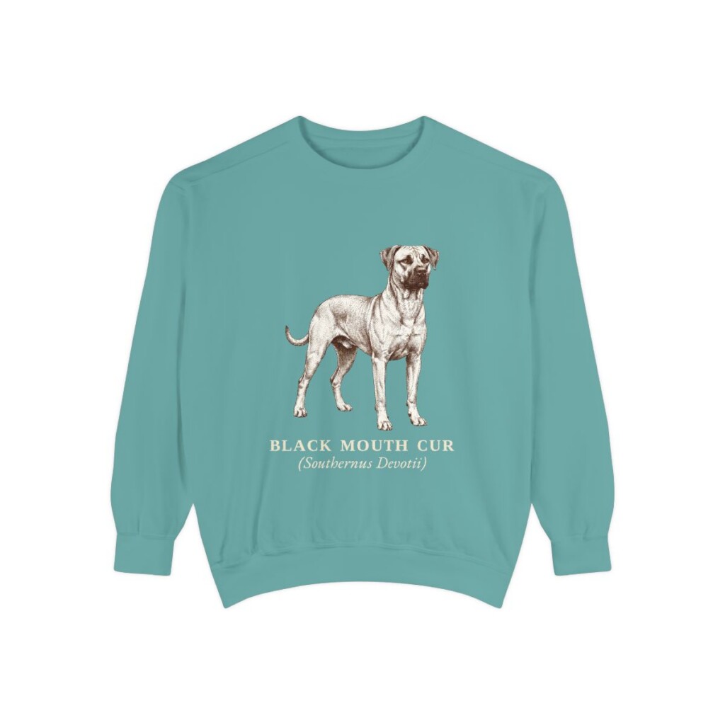 Black Mouth Cur Latin Sweatshirt, Seafoam, front view
