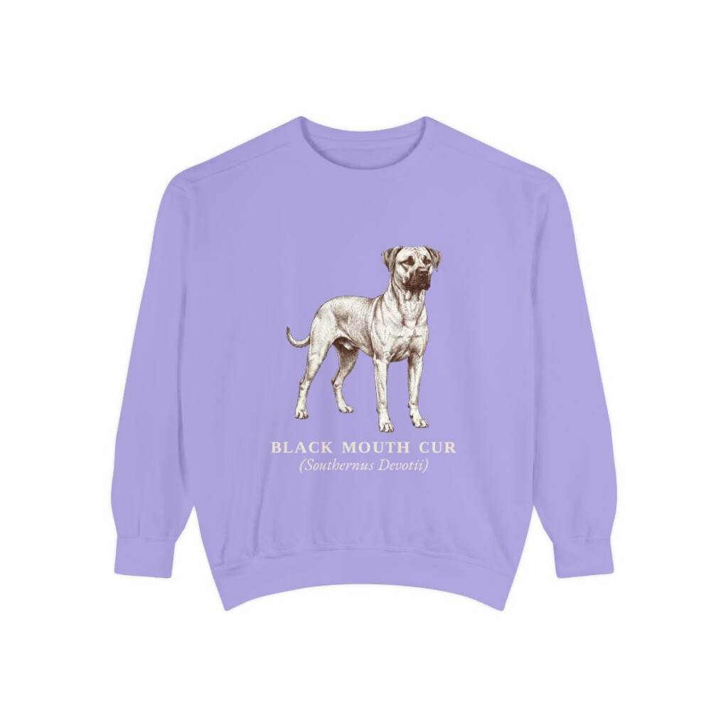 Black Mouth Cur Latin Sweatshirt, Violet, front view