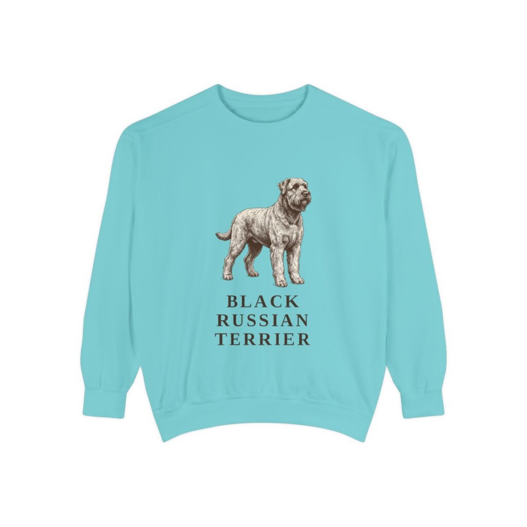 Black Russian Terrier Sweatshirt, Chalky Mint, front view
