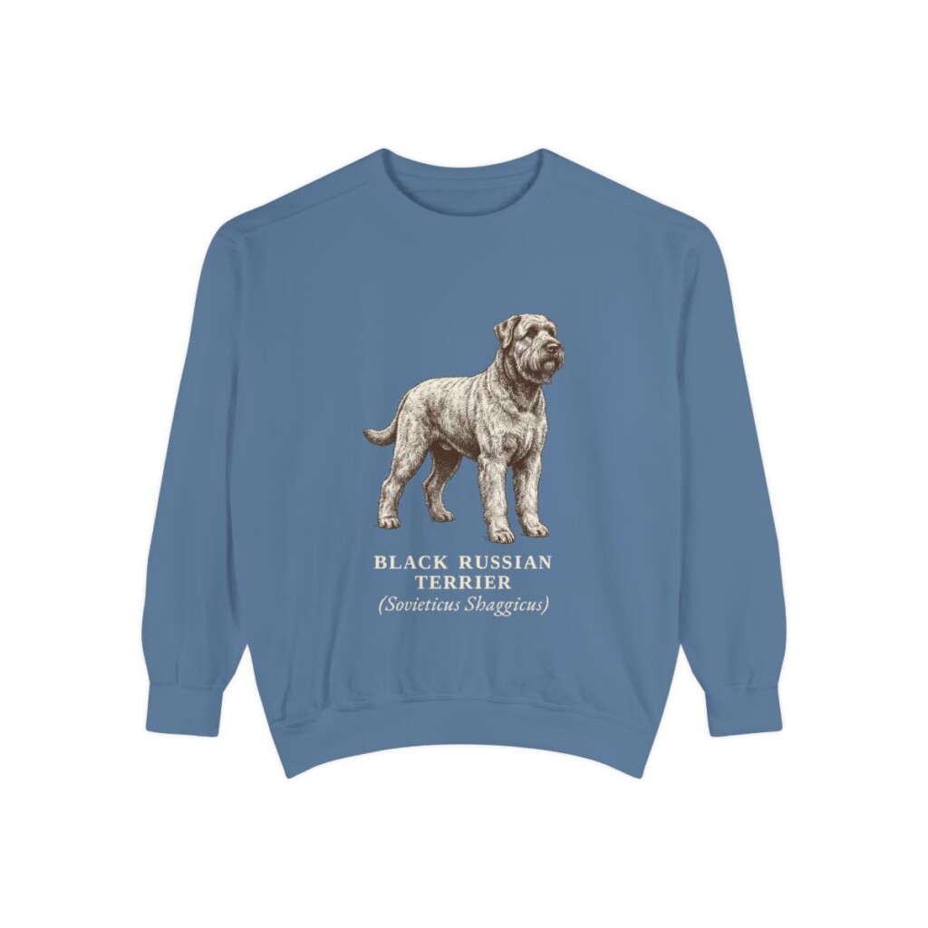 black-russian-terrier-sweatshirt-latin-blue-jean Black Russian Terrier Latin Sweatshirt, Blue Jean, front view