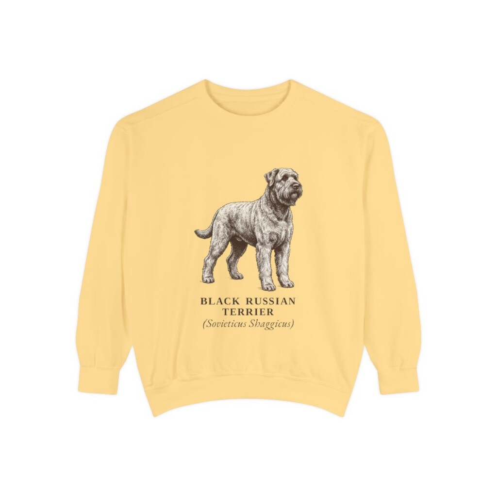 black-russian-terrier-sweatshirt-latin-butter Black Russian Terrier Latin Sweatshirt, Butter, front view