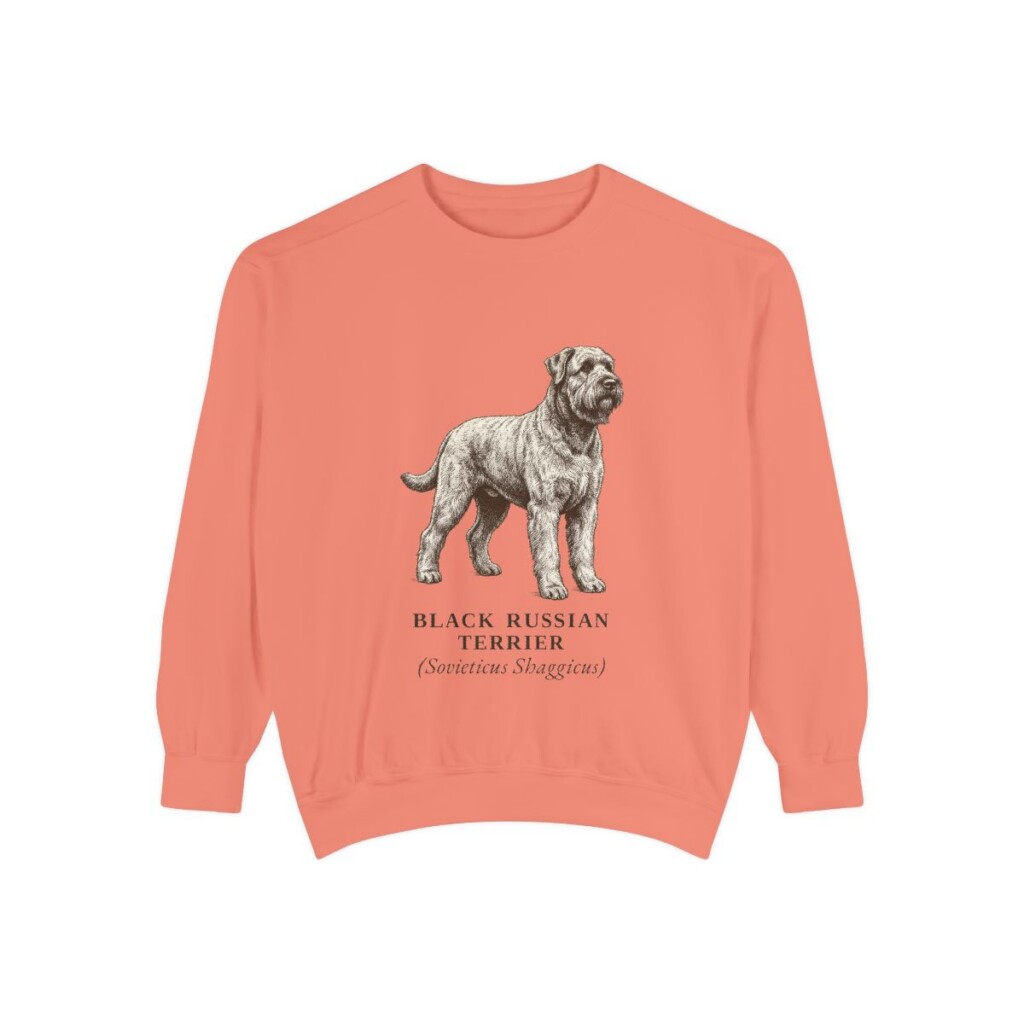 black-russian-terrier-sweatshirt-latin-terracotta Black Russian Terrier Latin Sweatshirt, Terracotta, front view
