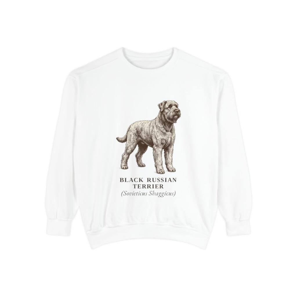 black-russian-terrier-sweatshirt-latin-white Black Russian Terrier Latin Sweatshirt, White, front view