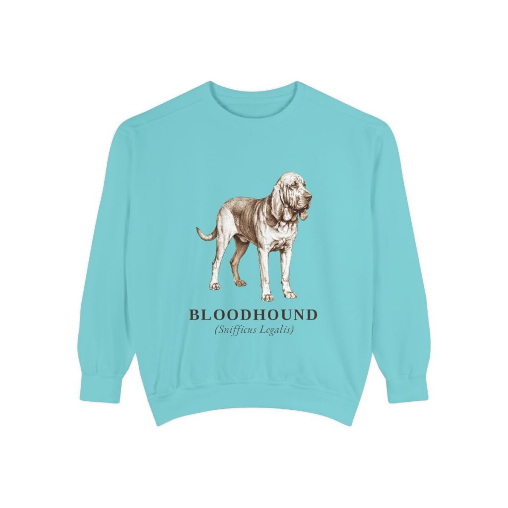 Bloodhound Latin Sweatshirt, Chalky Mint, front view