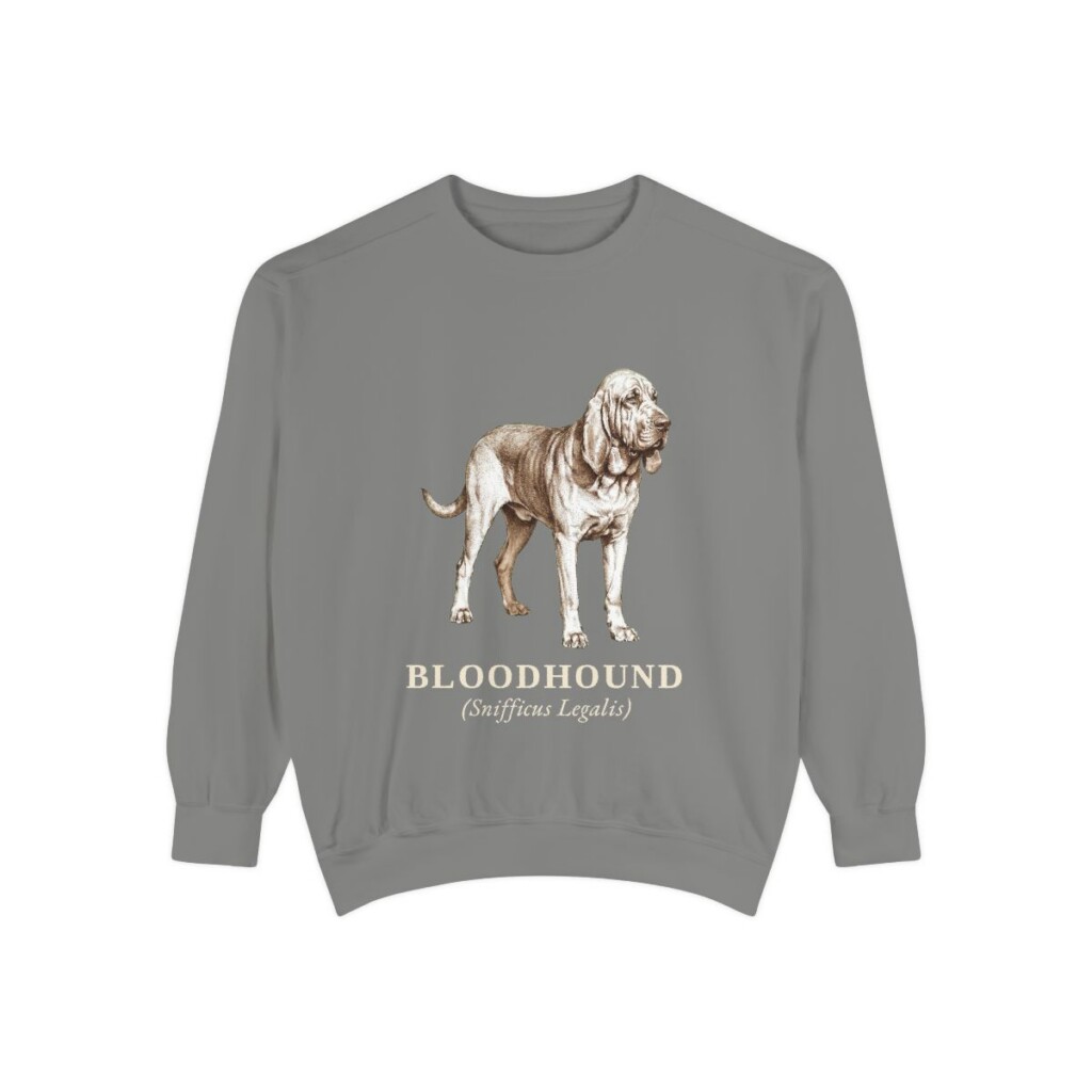 Bloodhound Latin Sweatshirt, Grey, front view