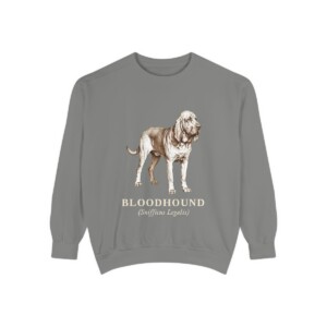 Bloodhound Latin Sweatshirt, Grey, front view