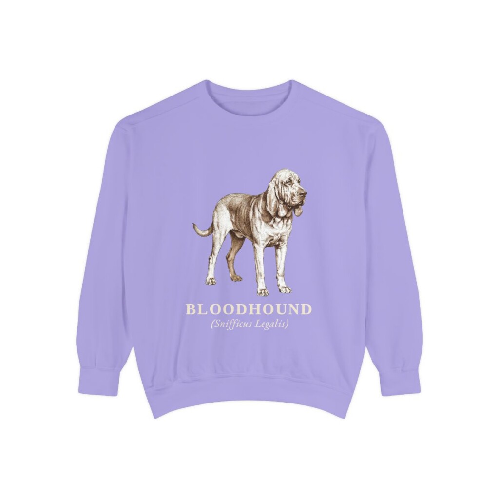Bloodhound Latin Sweatshirt, Violet, front view