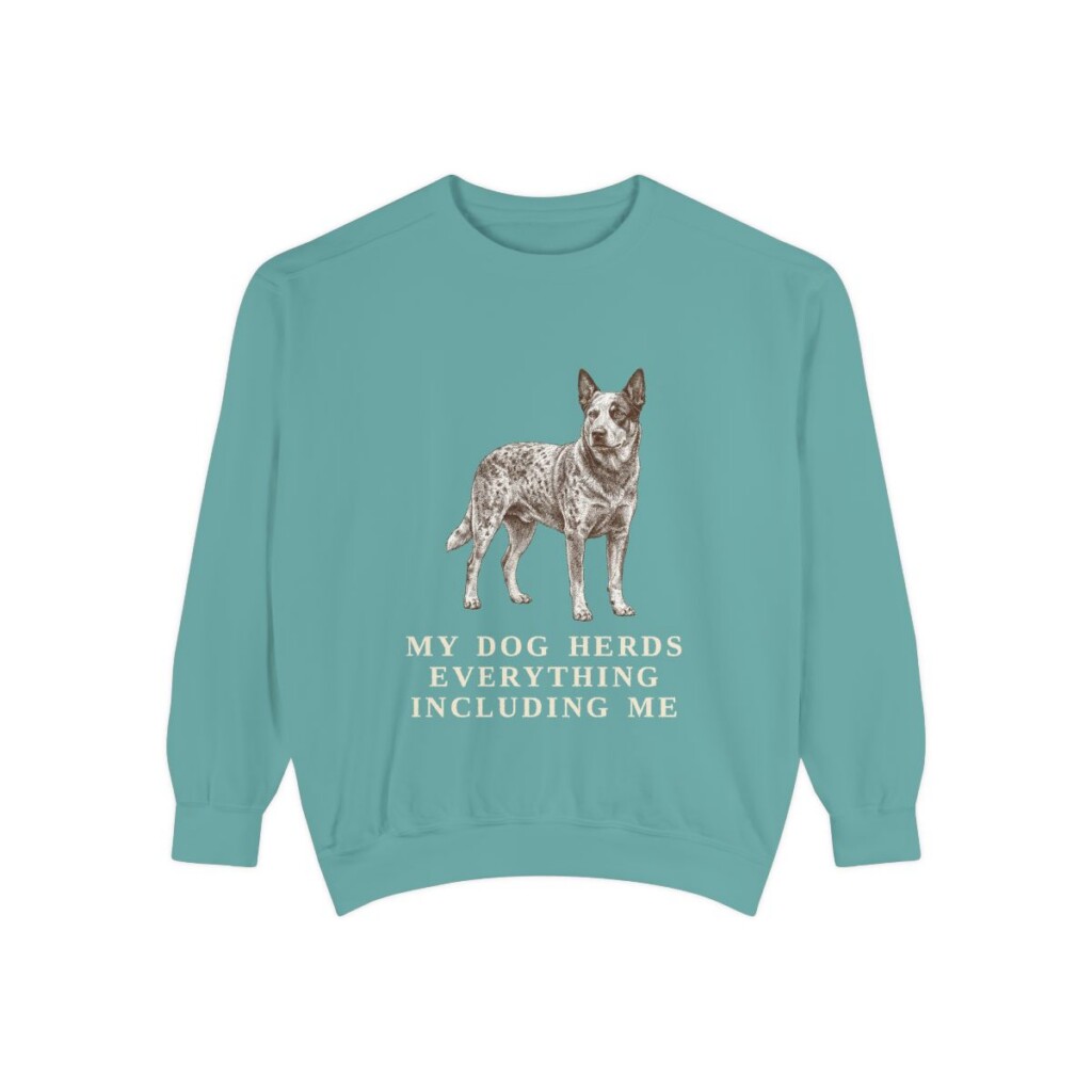 Blue Heeler Humor Sweatshirt, Seafoam, front view