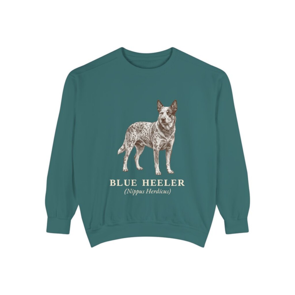 Blue Heeler Latin Sweatshirt, Blue Spruce, front view