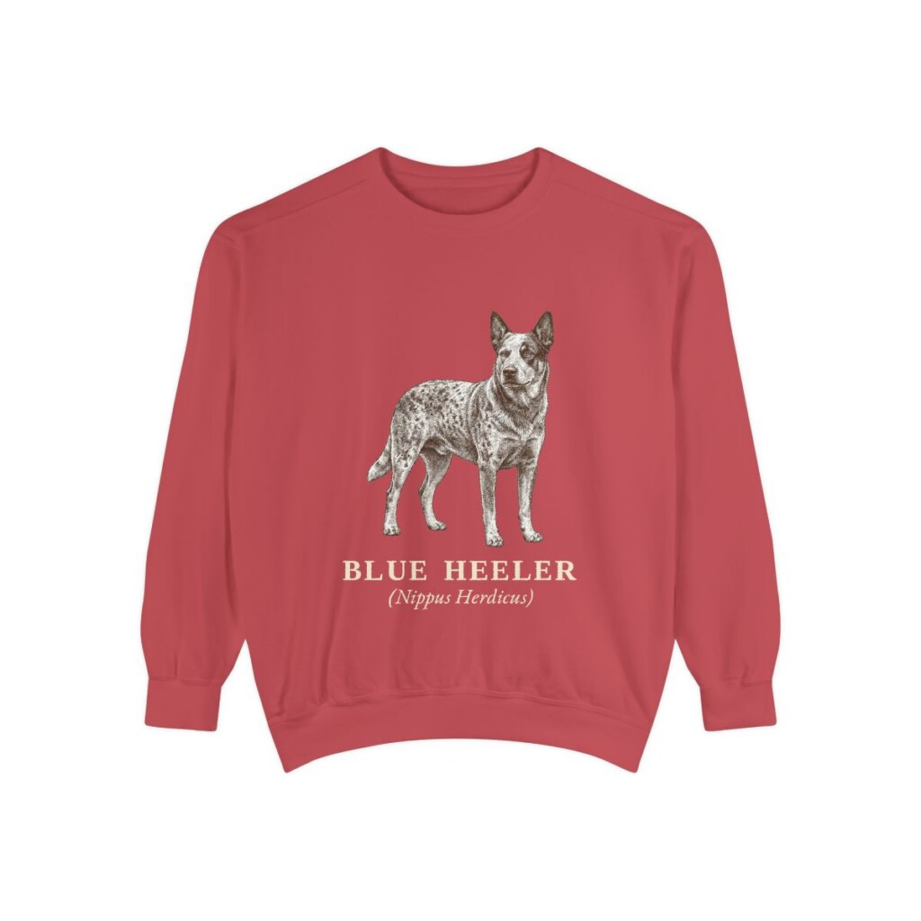 Blue Heeler Latin Sweatshirt, Crimson, front view