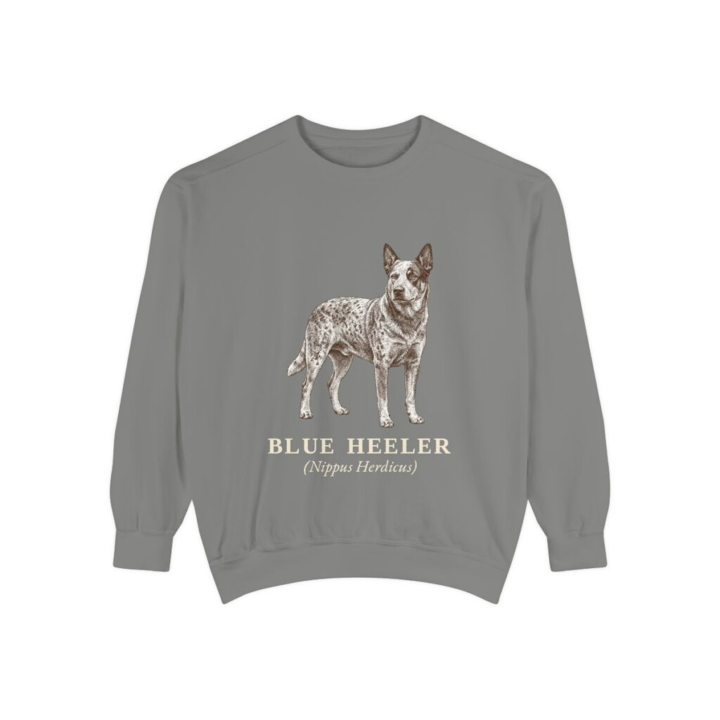 Blue Heeler Latin Sweatshirt, Grey, front view