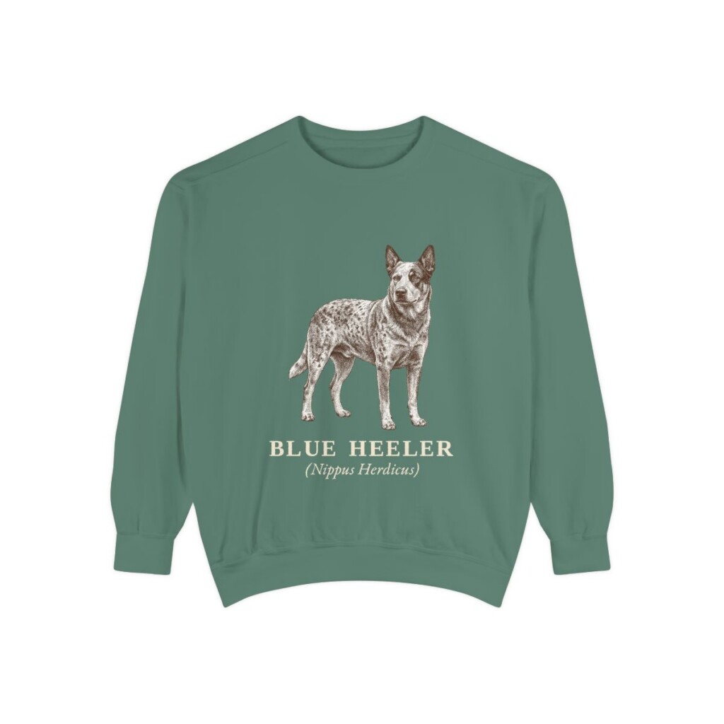 Blue Heeler Latin Sweatshirt, Light Green, front view