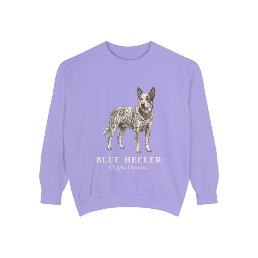 Blue Heeler Latin Sweatshirt, Violet, front view