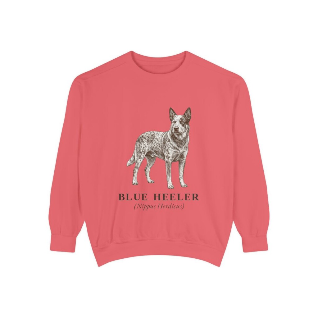 Blue Heeler Latin Sweatshirt, Watermelon, front view