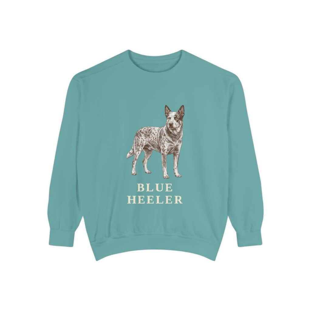 Blue Heeler Sweatshirt, Seafoam, front view